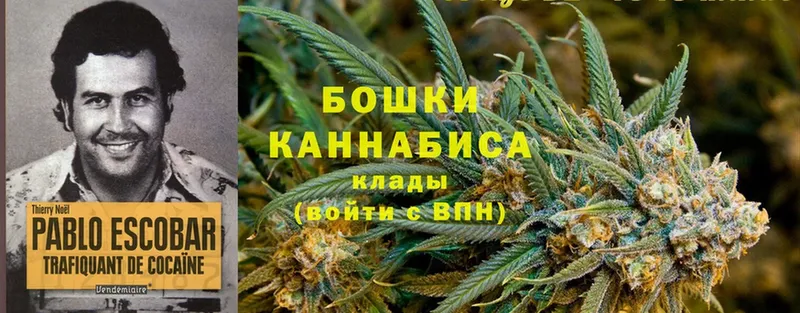 OMG tor  Боготол  Конопля OG Kush 